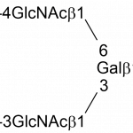 Lacto-N-hexaose-L604