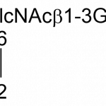 LS-Tetrasaccharide b-SLN516